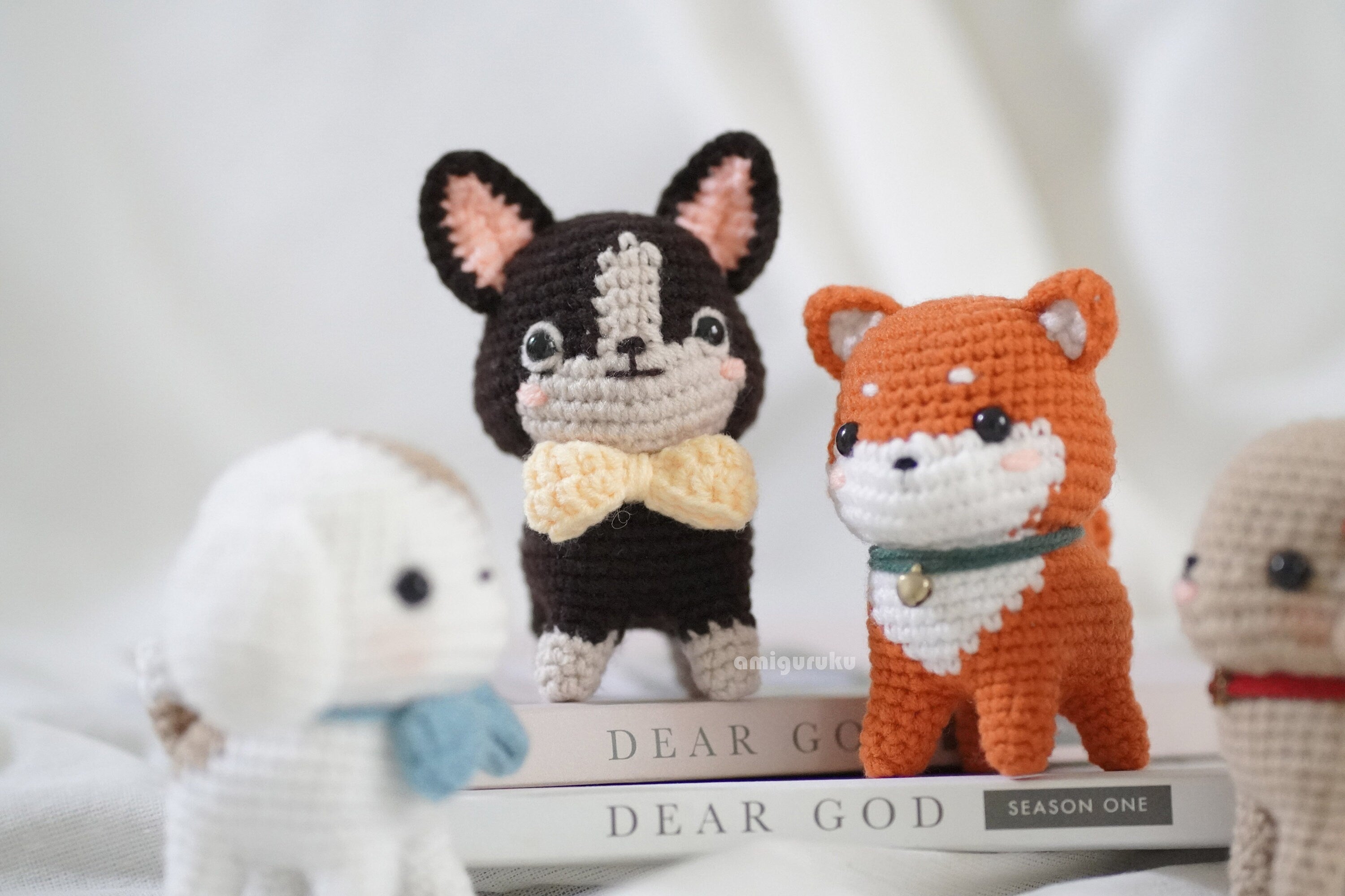 Poodle, Shiba Inu, Beagle, Terrier