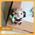 Curly Cute Pirate Amigurumi DIY Kit
