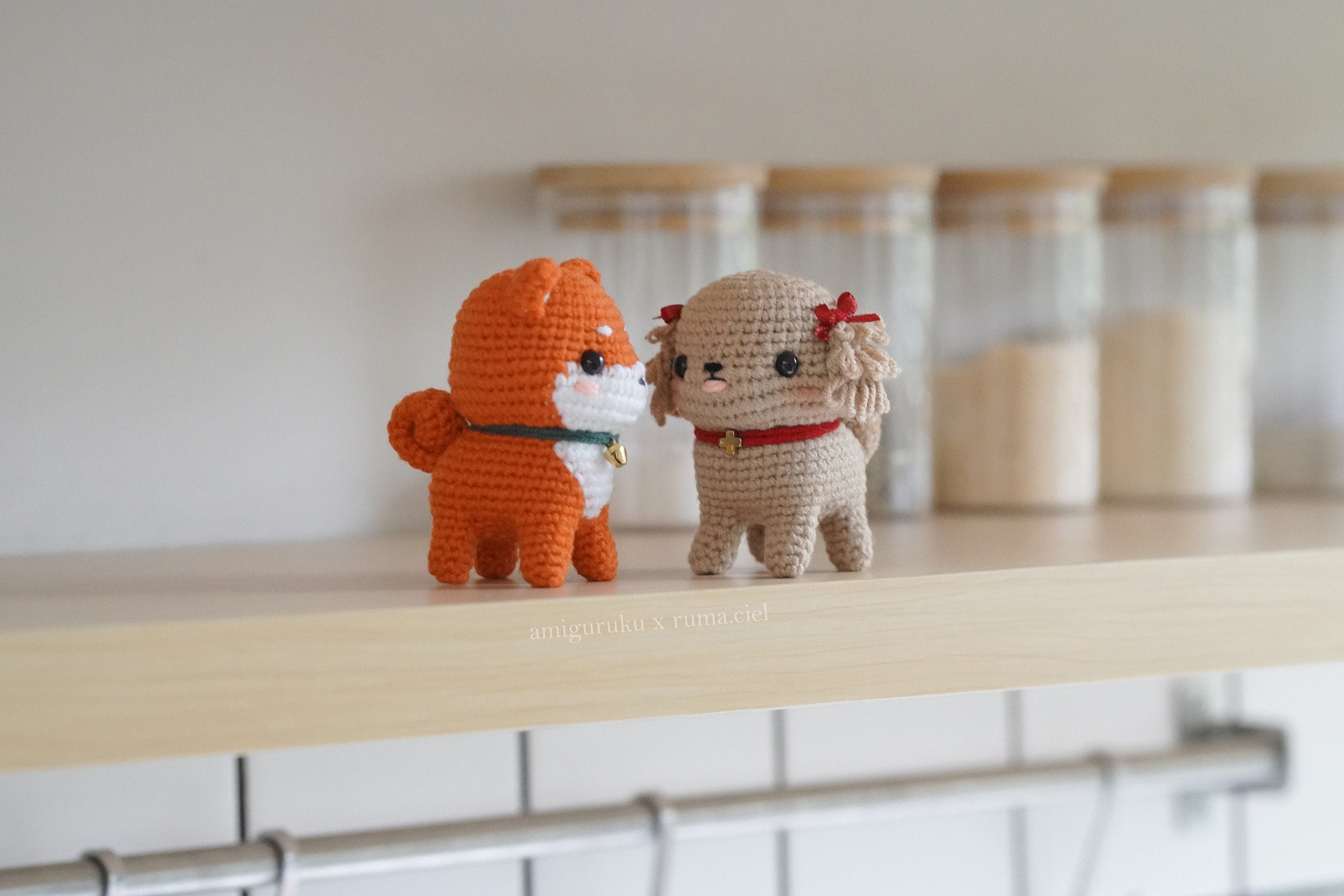 Poodle and Shiba Inu Puppy/ Dog